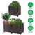 Raised Garden Bed Plant Growth Box 