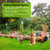 10Pcs Decorative Garden Fence Rustproof 