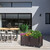 Raised Garden Bed Plant Growth Box 