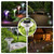12Packs Solar Garden Lights
