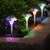 12Packs Solar Garden Lights
