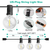 25FT Decorative Globe String Lights 