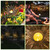 Solar Powered Sun Stake Lamp 