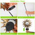 Solar Powered Sun Stake Lamp 