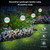 4Pcs Solar Powered Dandelion Garden Lights