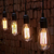 Edison Light Bulb