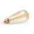 Edison Light Bulb