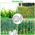 6Pcs High Carbon Steel Alloy Weed Cutter 