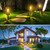 6Pack Solar Powered Stake Light