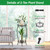 2-Tier Tall Plant Stand 26.57IN in 