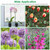 10Pcs 10in Plant Support Stakes Garden Flower 