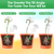 4Pcs Clear Glass Plant Watering Globes Iridescent Rainbow 