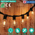 50FT Decorative Globe String Lights 
