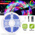 300 LEDs Strip Lights