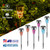 6Packs Solar Garden Lights