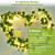 Artificial Ivy Battery Powered String Lights