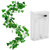 Artificial Ivy Battery Powered String Lights