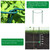 8Pcs Garden Plant Support Stake Half Round Iron Garden Plant