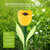 6 Pcs Solar Garden Tulip Flower Light 