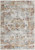 3' X 5' Gray And Beige Distressed Ornate Area Rug