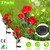 2Pcs Solar Powered Lights Outdoor Rose Flower 