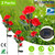 2Pcs Solar Powered Lights Outdoor Rose Flower 
