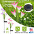 2Pcs Solar Garden Lights Outdoor Lily Flower LED 