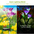 2Pcs Solar Garden Lights Outdoor Lily Flower LED 
