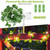 Artificial Ivy Battery Powered String Lights 