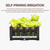 Raised Planter Box Vegetable Herb Flower Outdoor Plastic Plants Garden Bed