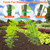 Cucumber Trellis for Raised Bed 