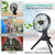 Foldable Camping Fan 