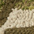 2' X 3' Beige Floral Handmade Indoor Outdoor Area Rug