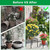 4Packs Iron Plotted Plant 