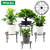 4Packs Iron Plotted Plant 