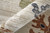 7' X 10' Ivory Red and Blue Floral Power Loom Area Rug