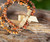 Bracelet Triple Cross Light Brown Beads