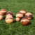 Hevea Roamer Bocce Set