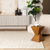 5' X 8' Beige and Black Checkered Power Loom Distressed Area Rug