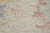 5' X 8' Tan Brown and Blue Floral Hand Woven Distressed Area Rug With Fringe