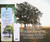 Tassel Bookmark I Am Like An Olive Tree
