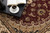 7' X 9' Red and Beige Floral Medallion Power Loom Area Rug