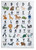 7' X 10' Gray Brown and Green Juvenile Alphabet Youthful Area Rug
