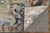 7' X 10' Gray Black and Red Ikat Power Loom Area Rug