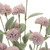 Set of four 3" Purple Artificial Plant in a No