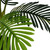 Set of Two 41" Green Artificial Palm In Cylindrical Black Pot