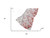 50" X 70" Red And Ivory Coastal Seashell Polyester Woven Plush Throw Blanket