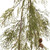 Set of Two 12" Green And Brown Artificial Pine