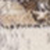 Medallion Area Rug