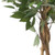 32" Green Artificial Ficus In Cylindrical Black Pot